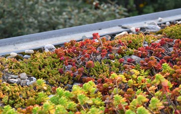 the cost of Penyfeidr green roof installation