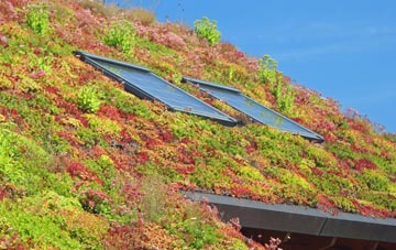 Penyfeidr living roof systems