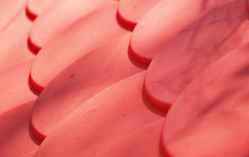 Penyfeidr plastic roof costs