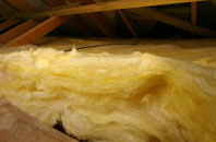 Penyfeidr pitch roof insulation